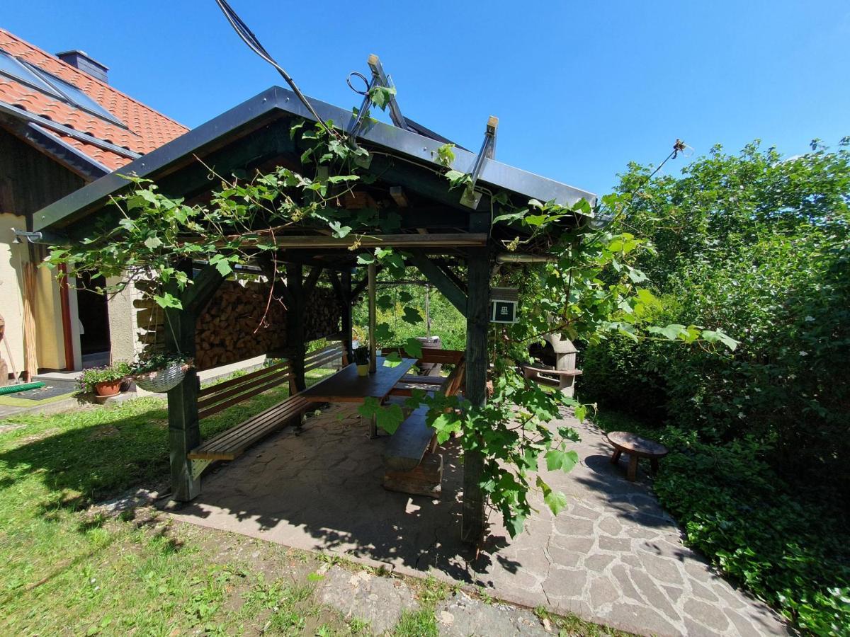 Das Gruene Haus Am Hexenstieg Rubeland Ngoại thất bức ảnh