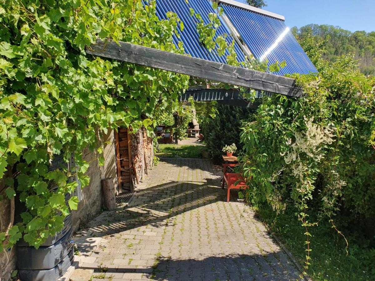 Das Gruene Haus Am Hexenstieg Rubeland Ngoại thất bức ảnh
