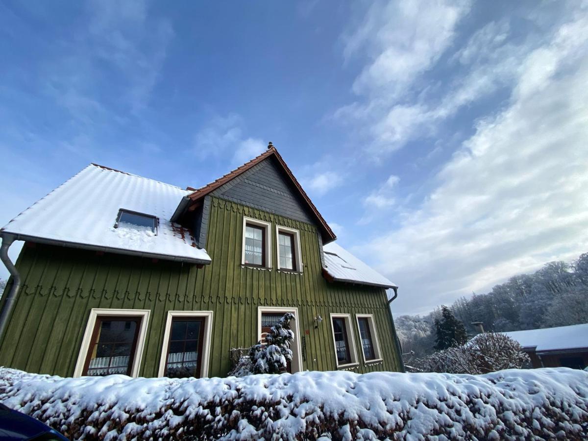 Das Gruene Haus Am Hexenstieg Rubeland Ngoại thất bức ảnh