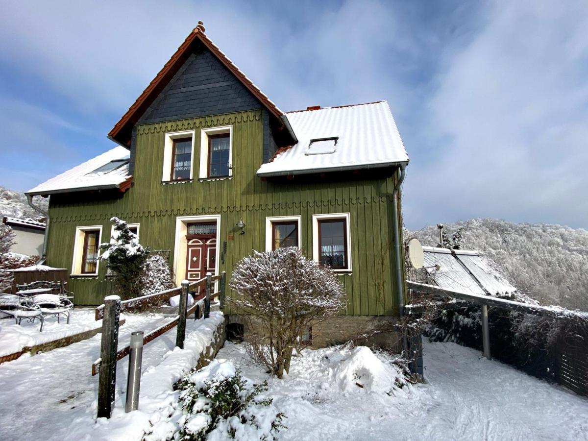 Das Gruene Haus Am Hexenstieg Rubeland Ngoại thất bức ảnh