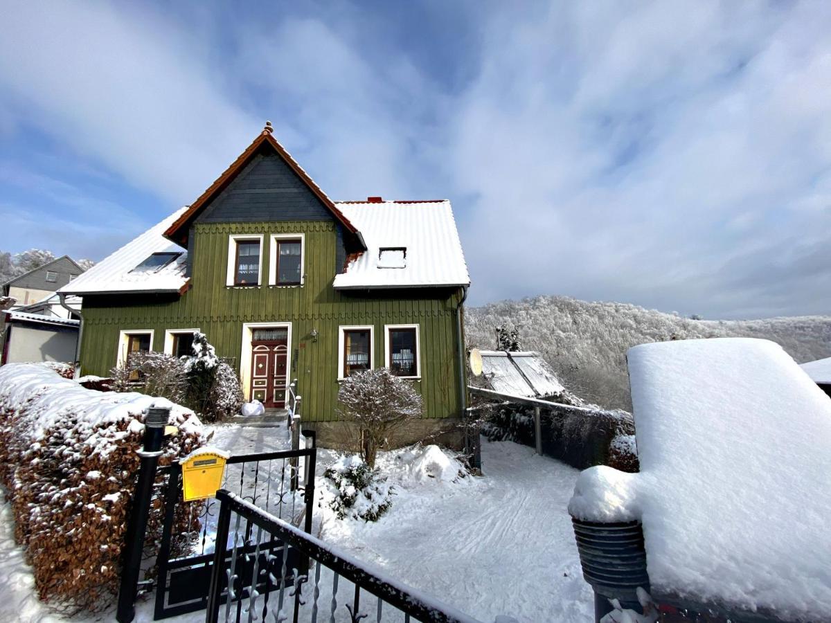Das Gruene Haus Am Hexenstieg Rubeland Ngoại thất bức ảnh