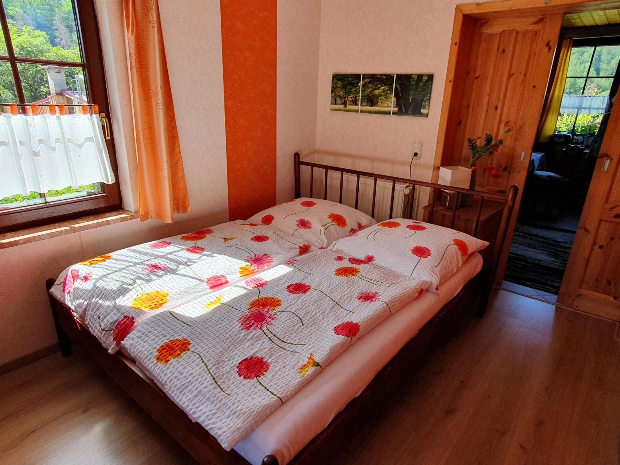 Das Gruene Haus Am Hexenstieg Rubeland Ngoại thất bức ảnh