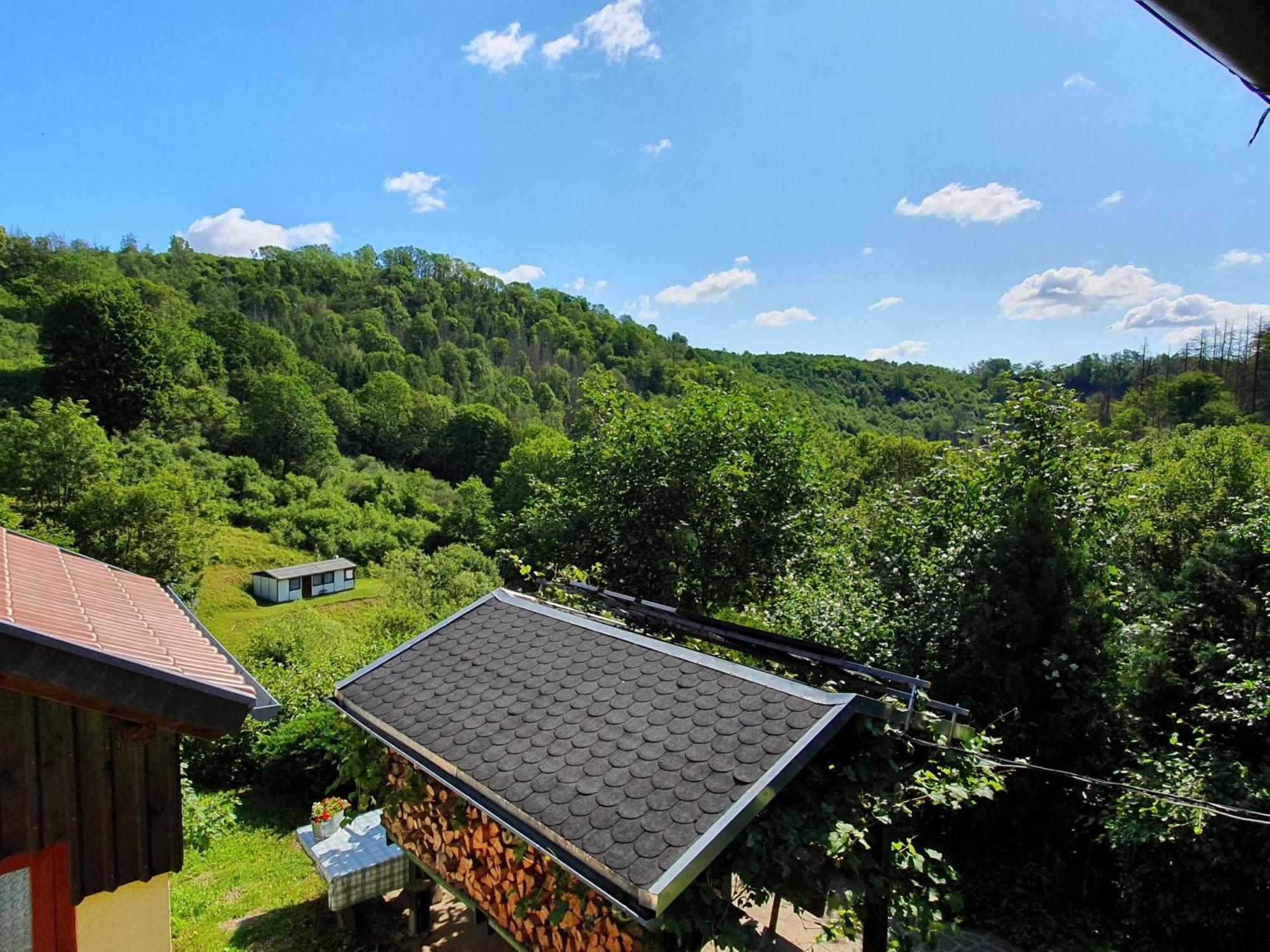 Das Gruene Haus Am Hexenstieg Rubeland Ngoại thất bức ảnh